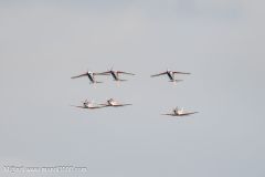 2024-09-06_142645