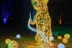 2023-12-27_200331