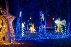 2023-12-27_202529
