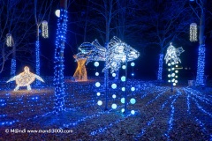 2023-12-27_202711