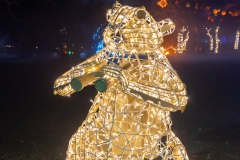 2023-12-27_215117