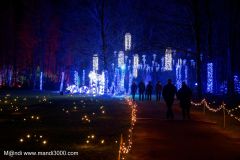 1_2024-12-19_191339_DxO