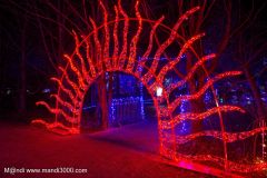 2024-12-19_190235_DxO