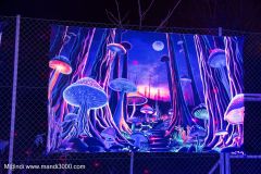 2024-12-19_190454_DxO