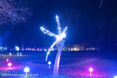 2024-12-19_190923_DxO