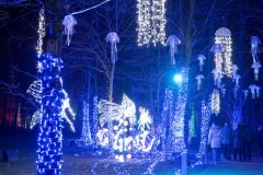 2024-12-19_191432_DxO