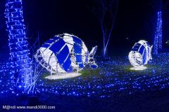 2024-12-19_191607_DxO