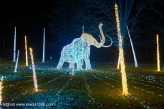 2024-12-19_193108_DxO