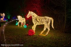 2024-12-19_200449_DxO