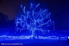 2024-12-19_202516_DxO