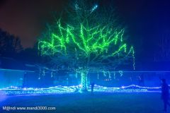 2024-12-19_202526_DxO