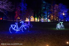 2024-12-19_203102_DxO