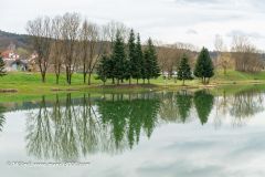 2023-04-01_120716-ARW_DxO_DeepPRIME