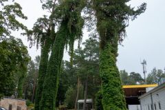 2024-09-19_091742